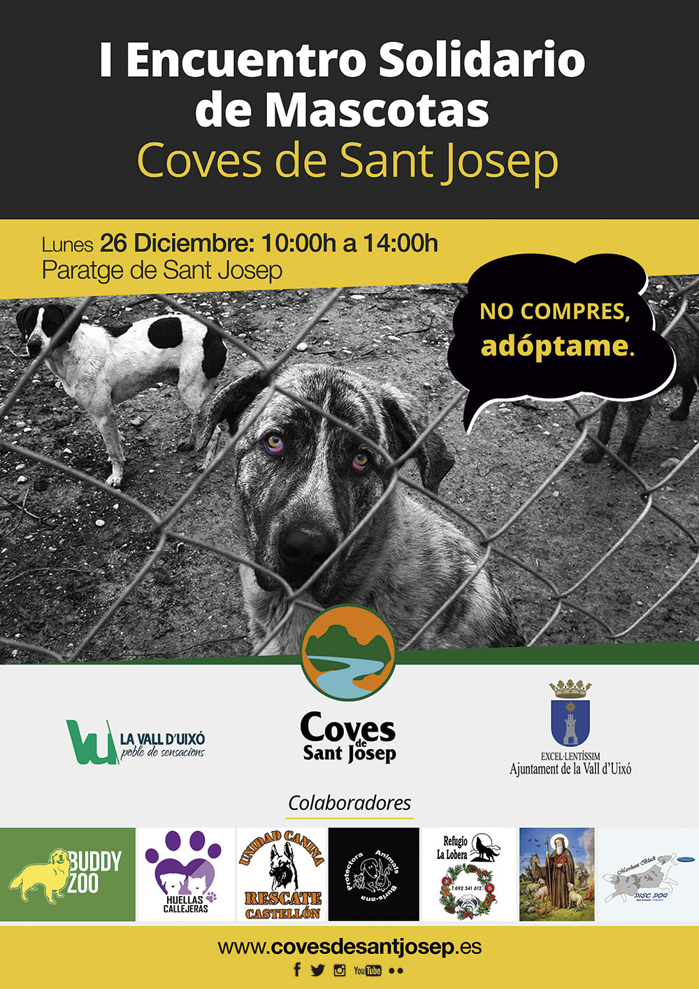 encuentro-solidario-mascotas-coves-de-sant-josep